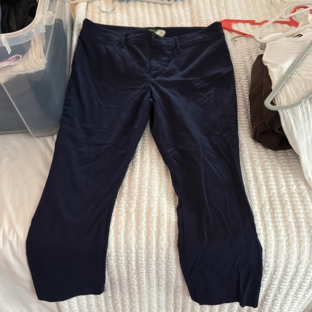 Anthropologie Deep Blue Trousers